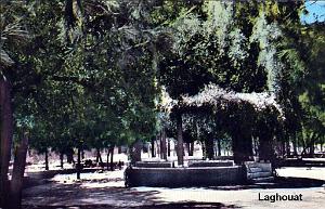 Laghouat - Kiosque